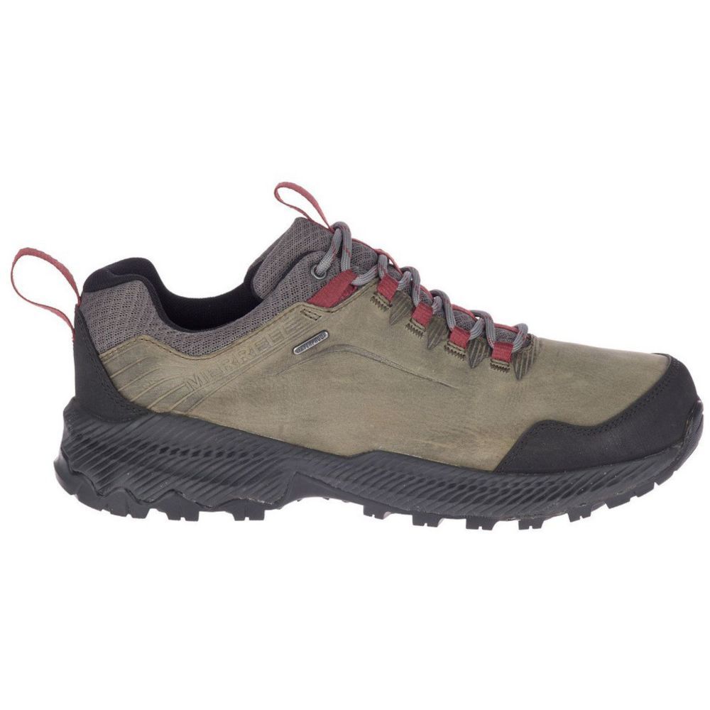 Кросівки Merrell Forestbound WP Mns - фото