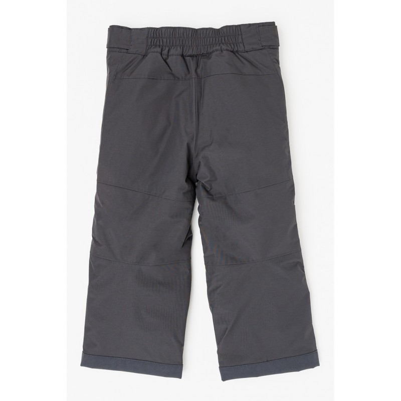 Горнолыжные брюки Jack Wolfskin ICY MOUNTAIN PANTS K (1609491_6350)  - фото
