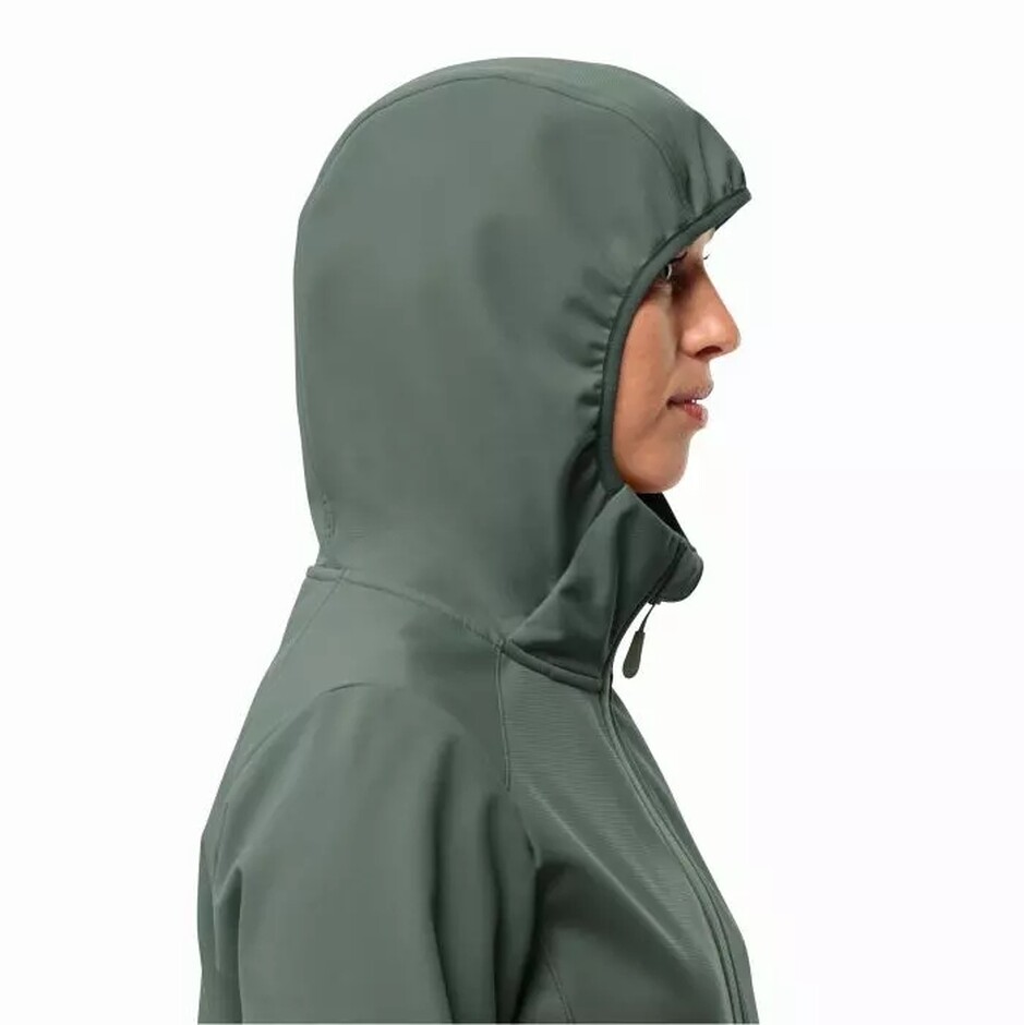 Толстовка Jack Wolfskin Bornberg Hoody W (1307692_4311) - фото