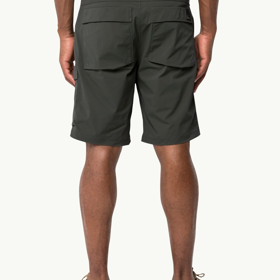Шорти Jack Wolfskin Wanderthirst Shorts M (1508321_6502) - фото