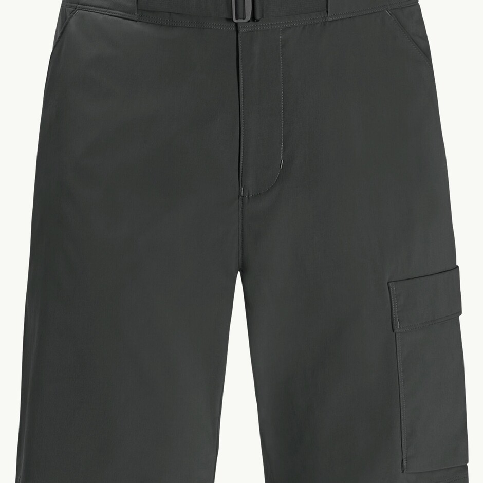 Шорти Jack Wolfskin Wanderthirst Shorts M (1508321_6502) - фото