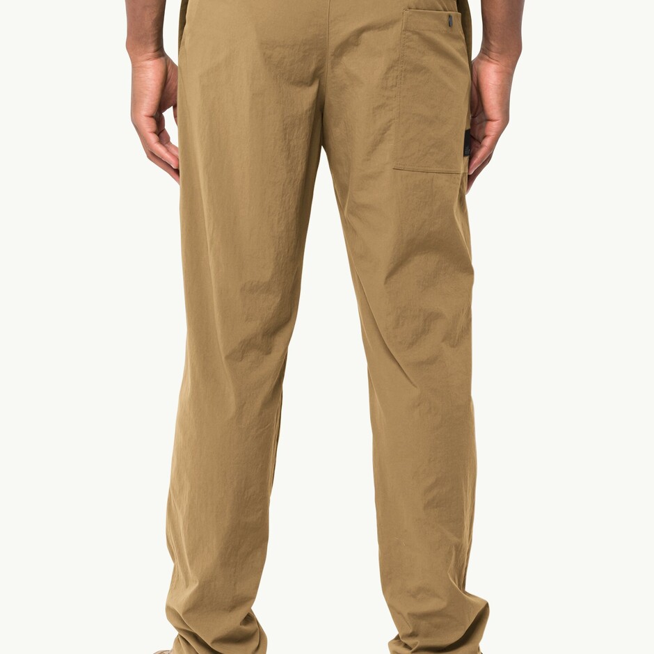 Штани Jack Wolfskin Desert Pants M (1508331_5335) - фото