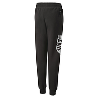 Штани Puma Basketball Pants B (53846901)