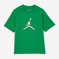 Футболка Jordan Gf SS Tee Gfx Hbr (FJ2510310)