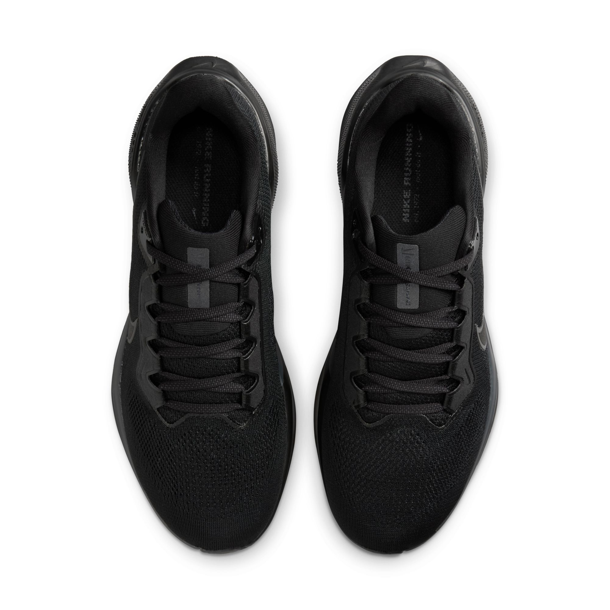 Кросівки Nike Air Zoom Pegasus 41 (FD2722001) - фото