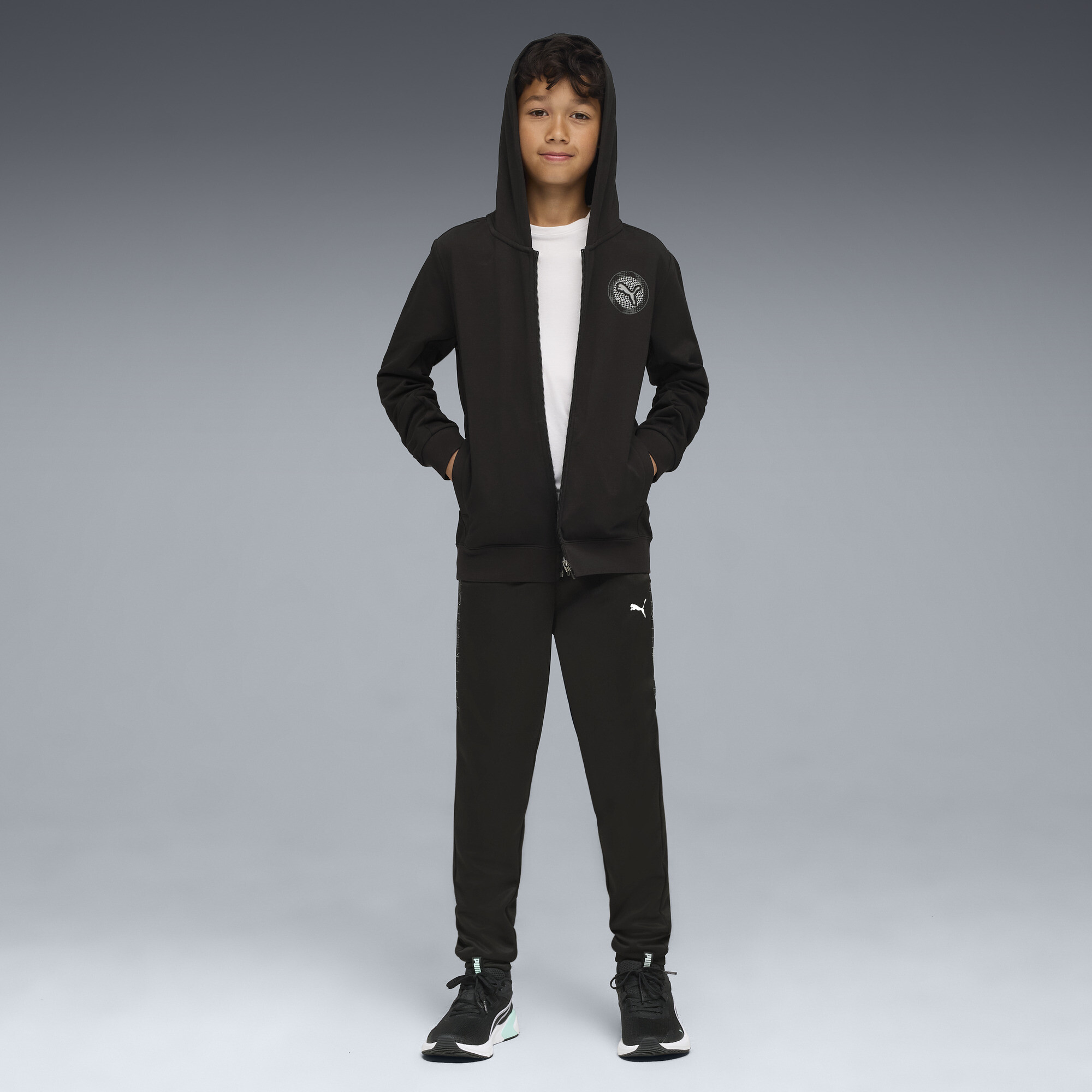 Толстовка Puma Active Sports Graphic Full-Zip Tr (52768801) - фото