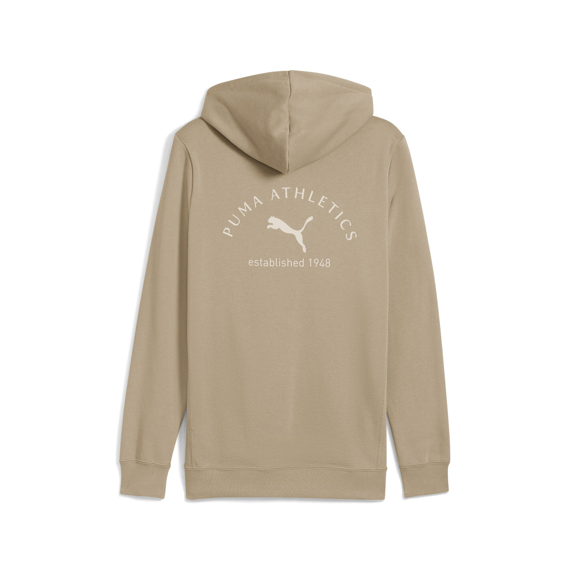 Толстовка Puma Class Graphic FL (68822155) - фото