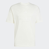 Футболка Adidas ALL SZN Embroidered Graphics (JL6552)