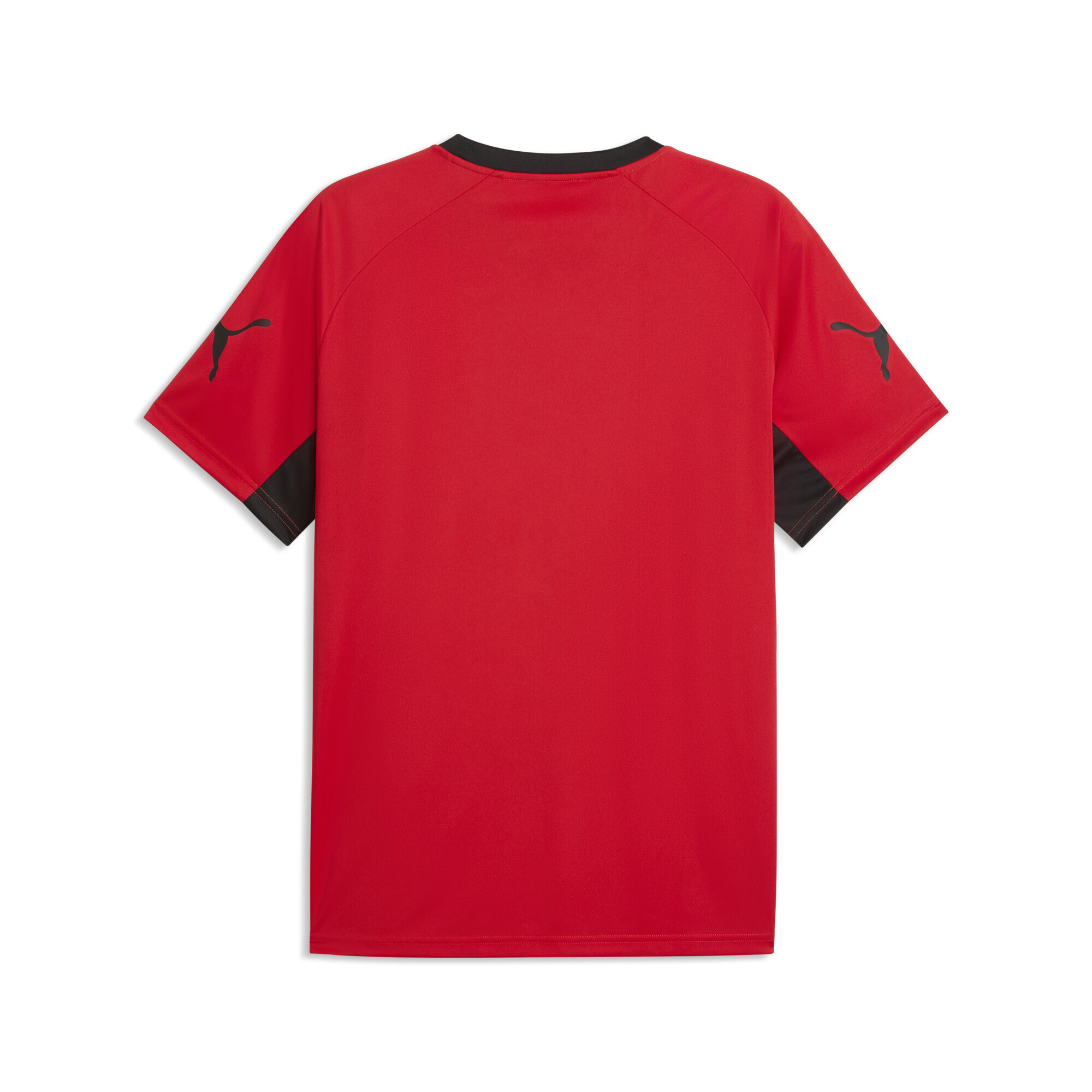 Футболка Puma IndividualLIGA Graphic Jersey (66057801) - фото