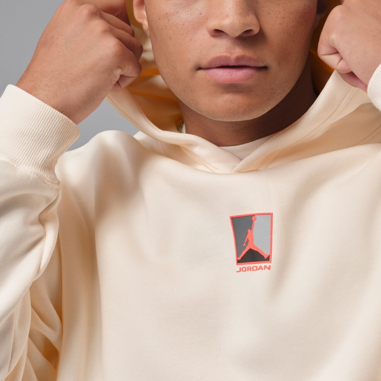 Толстовка Jordan Brooklyn Fleece (HV0544110) - фото