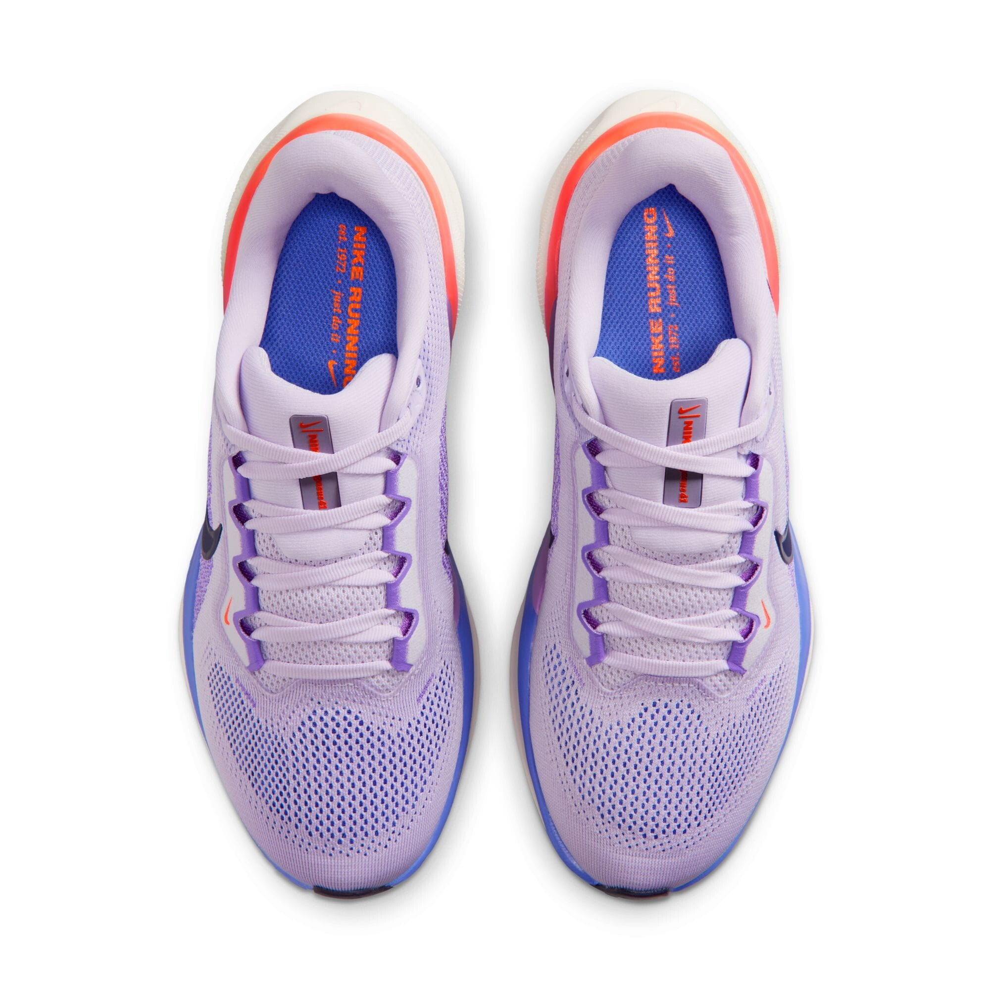 Кросівки Nike Pegasus 41 Road Running (FD2723503) - фото