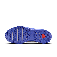 Кросівки Nike Metcon 10 (HQ2620501)