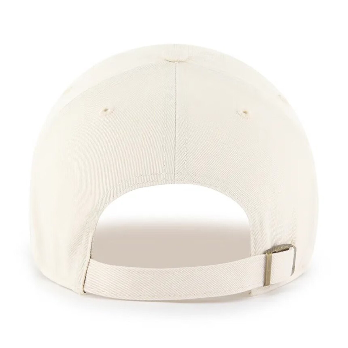 Кепка 47 Dog Base Runner Icon (BSRIC17GWSNT) - фото