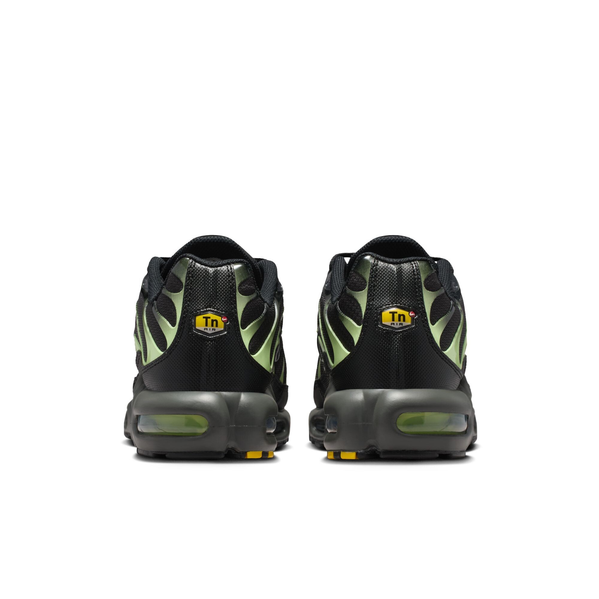 Кросівки Nike Air Max Plus (DM0032035) - фото