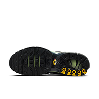 Кросівки Nike Air Max Plus (DM0032035)