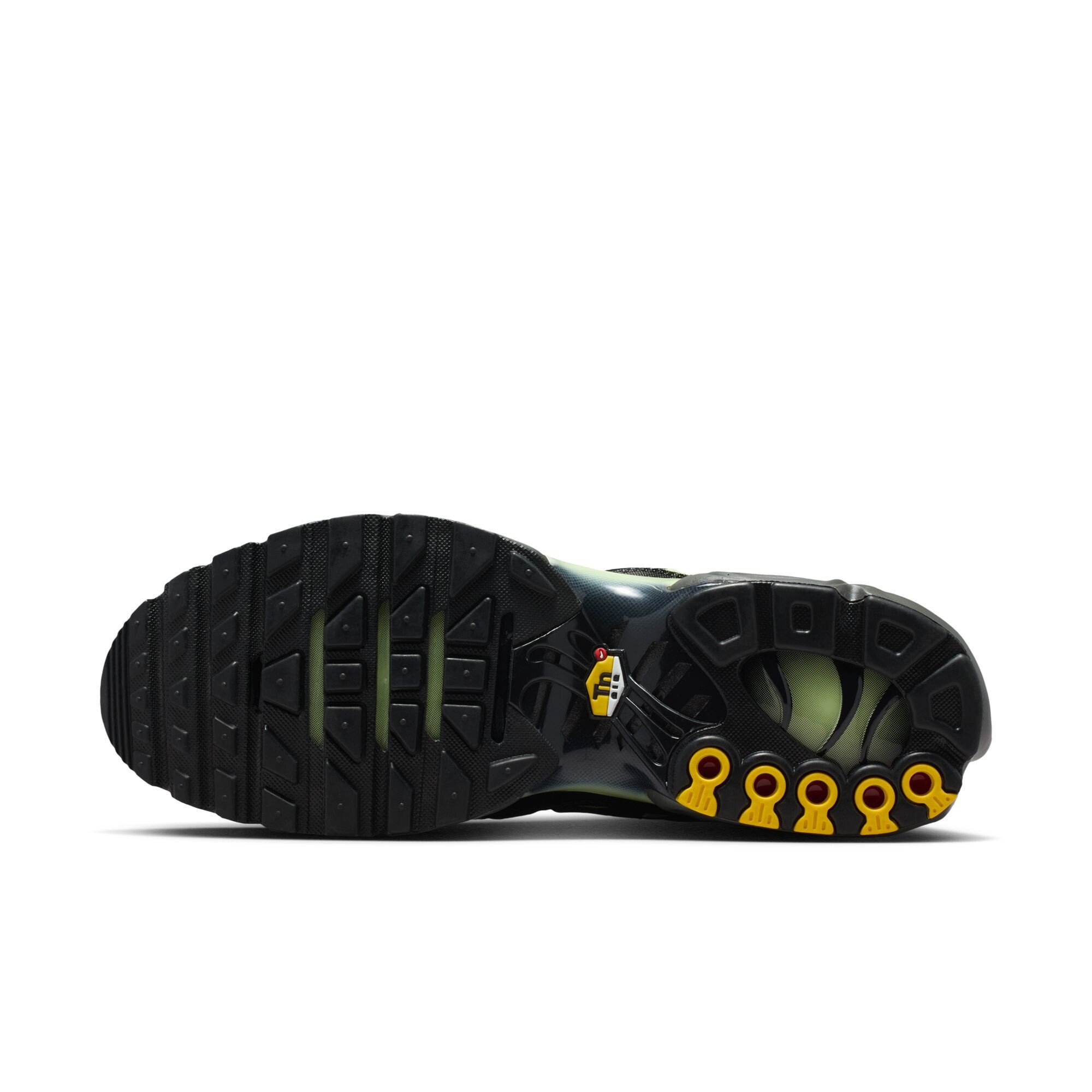 Кросівки Nike Air Max Plus (DM0032035) - фото