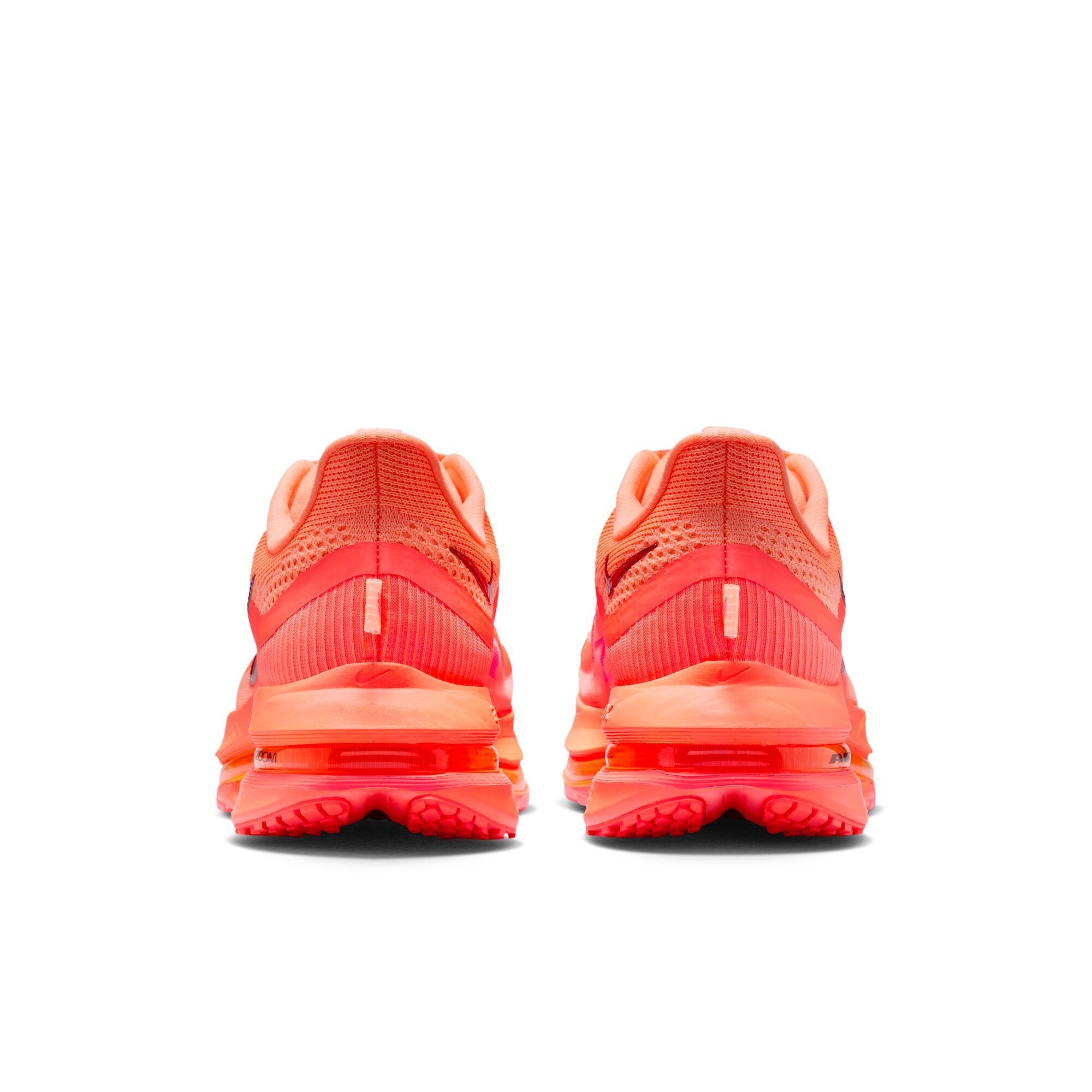 Кросівки Nike Pegasus Premium (HQ2593802) - фото