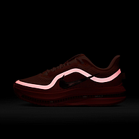 Кросівки Nike Pegasus Premium (HQ2593802)