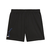 Шорти Puma Ess Logo Lab (69253001)
