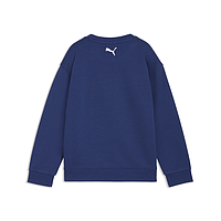Толстовка Puma Sporty Cats Relaxed (63455149)