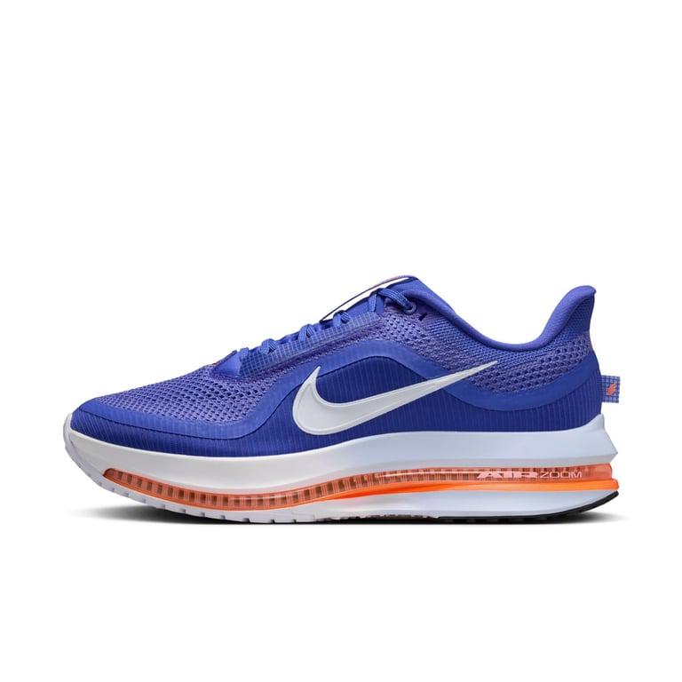 Кросівки Nike Pegasus Premium (HQ2592400) - фото