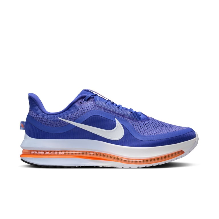 Кросівки Nike Pegasus Premium (HQ2592400) - фото