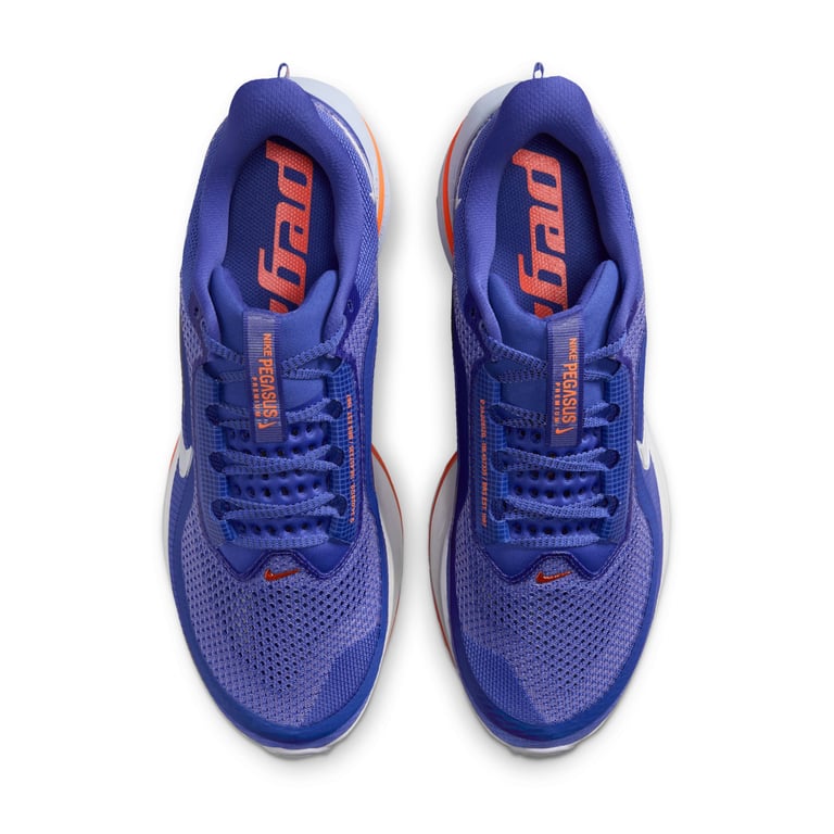 Кросівки Nike Pegasus Premium (HQ2592400) - фото