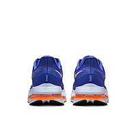 Кросівки Nike Pegasus Premium (HQ2592400)