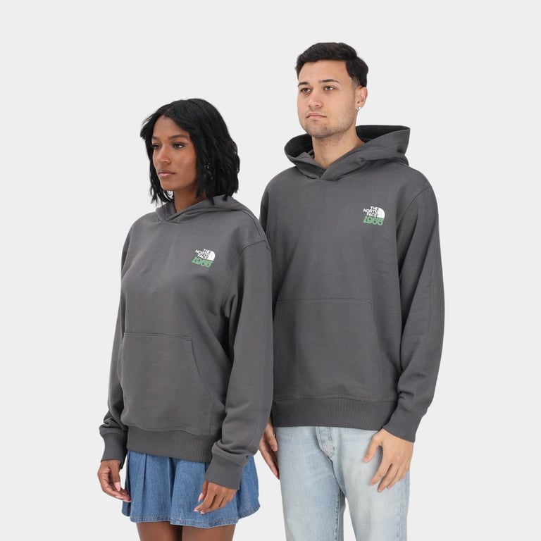 Толстовка The North Face 1966 Motion (NF0A8GAJRHI) - фото