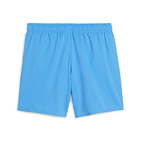 Плавки Puma Mid-Cut Swim Shorts (701224511004)