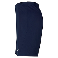 Шорти Nike Dri-FIT Park 3 (BV6855410)