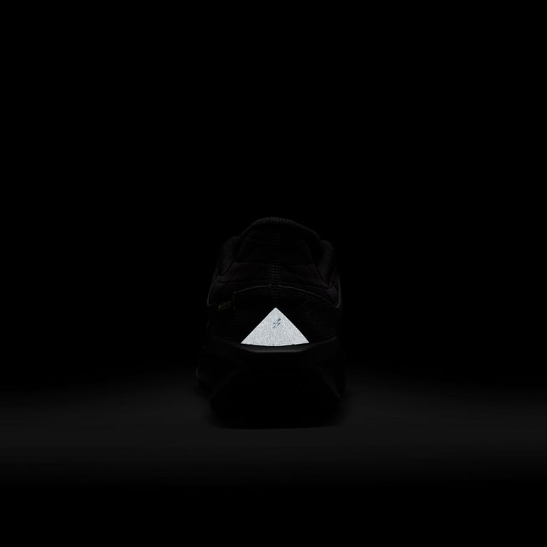 Кросівки Nike Winflo 11 GORE-TEX (FQ1358001) - фото
