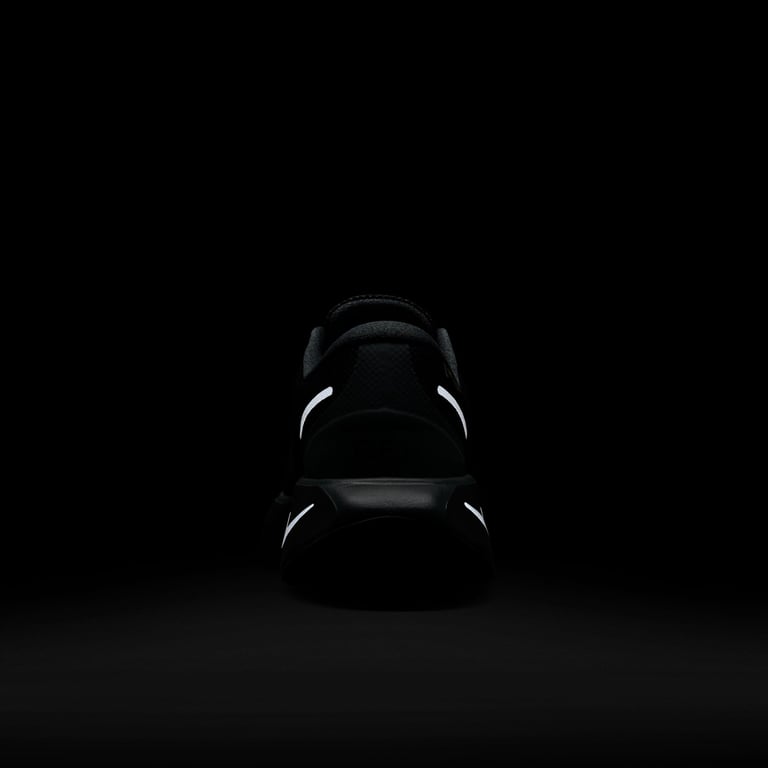 Кросівки Nike Motiva GORE-TEX (HM0355001) - фото