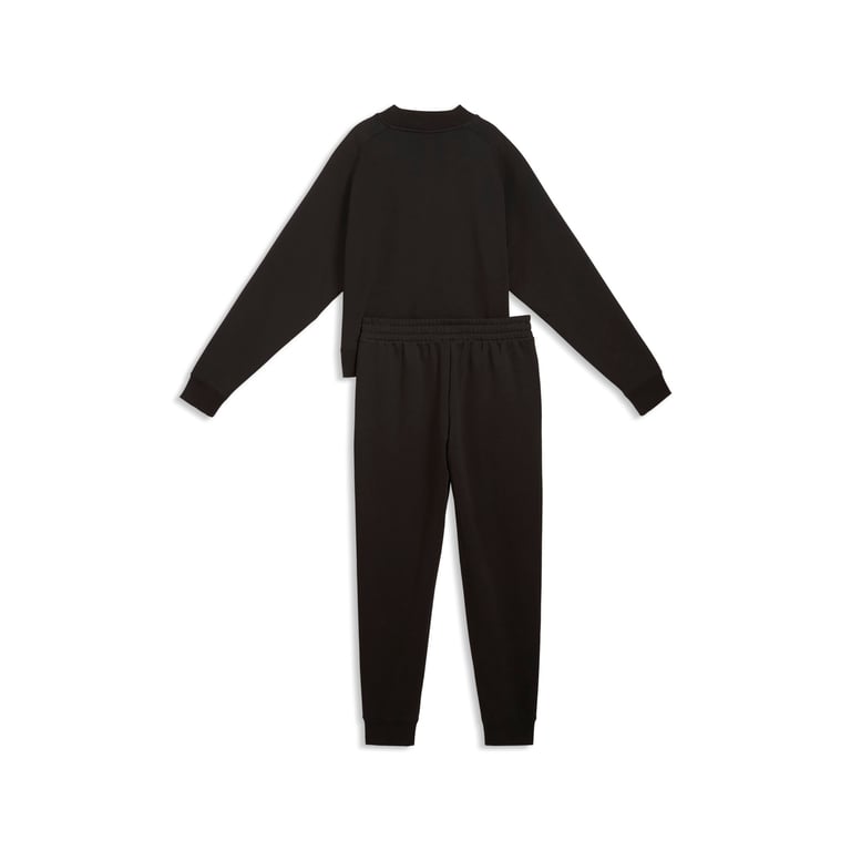 Костюм Puma Loungewear Comfort Fleece (69399501) - фото