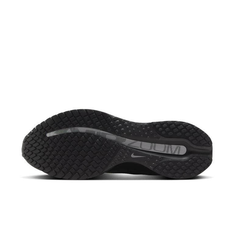Кросівки Nike Pegasus Premium (HQ2592005) - фото