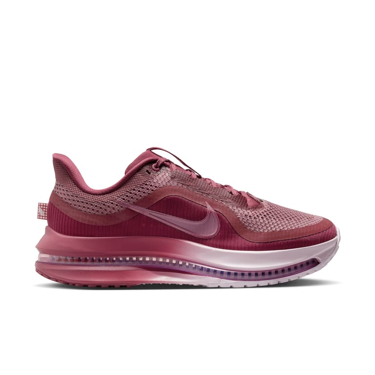 Кросівки Nike Pegasus Premium (HQ2593607) - фото