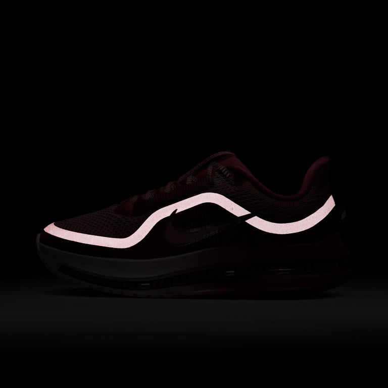 Кросівки Nike Pegasus Premium (HQ2593607) - фото