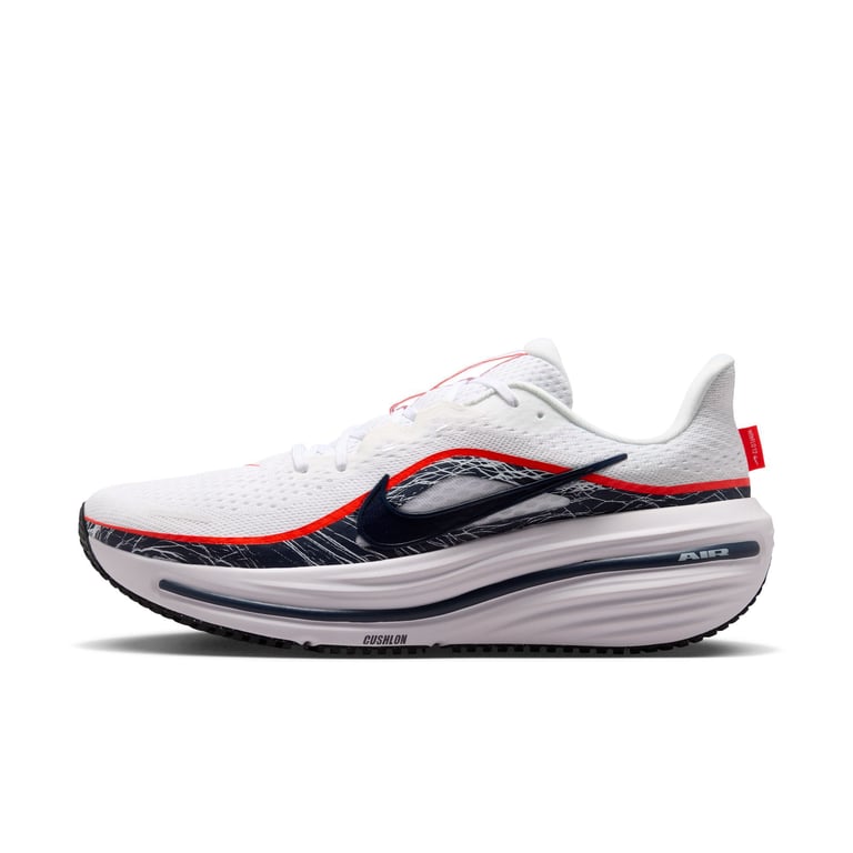 Кросівки Nike Winflo 12 (IV6293100) - фото