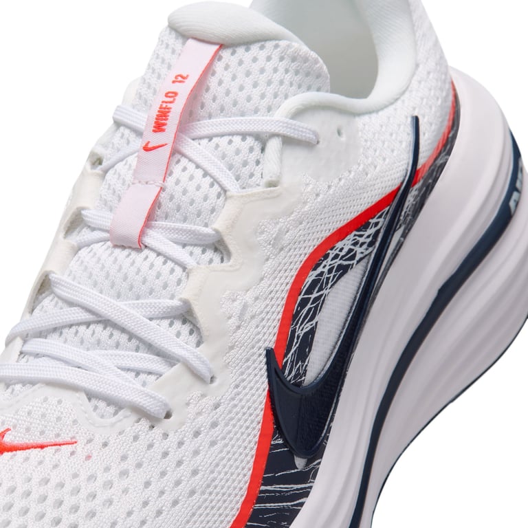 Кросівки Nike Winflo 12 (IV6293100) - фото
