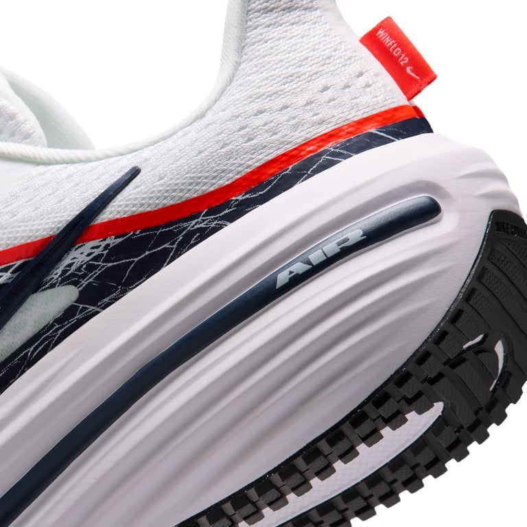 Кросівки Nike Winflo 12 (IV6293100) - фото