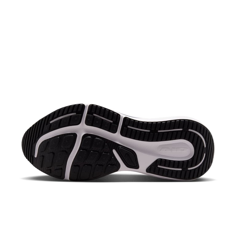Кросівки Nike Winflo 12 (IV6293100) - фото