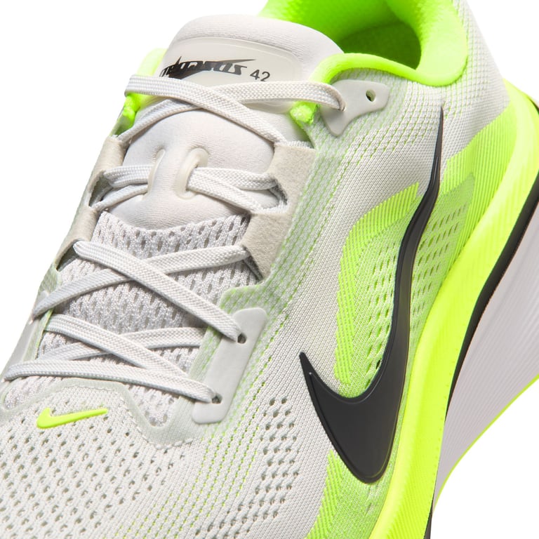 Кросівки Nike Pegasus 42 (IB1873008) - фото