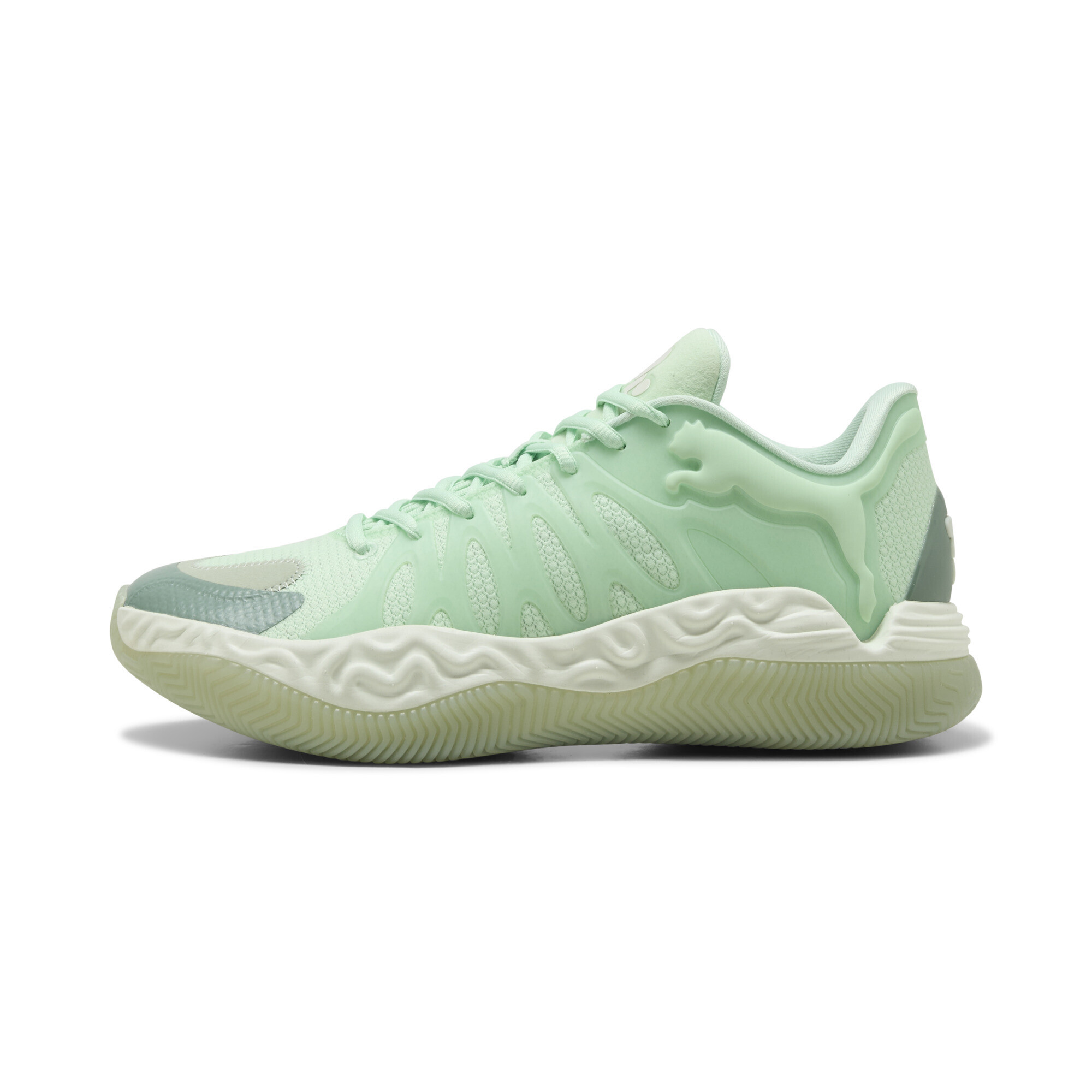 Кросівки Puma Hali 1 Low (31409803) - фото