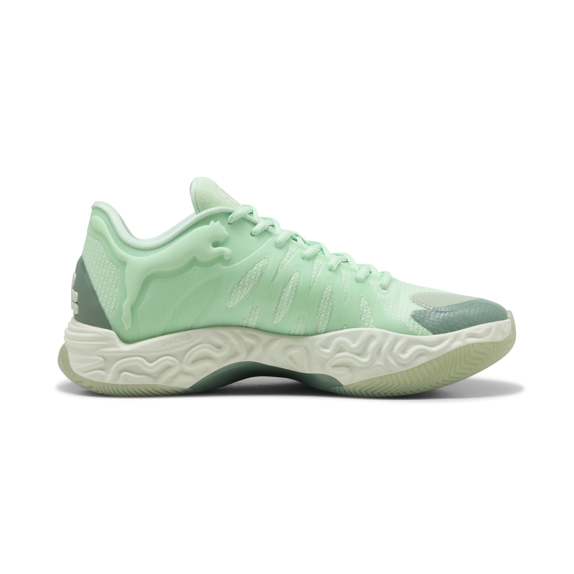 Кросівки Puma Hali 1 Low (31409803) - фото