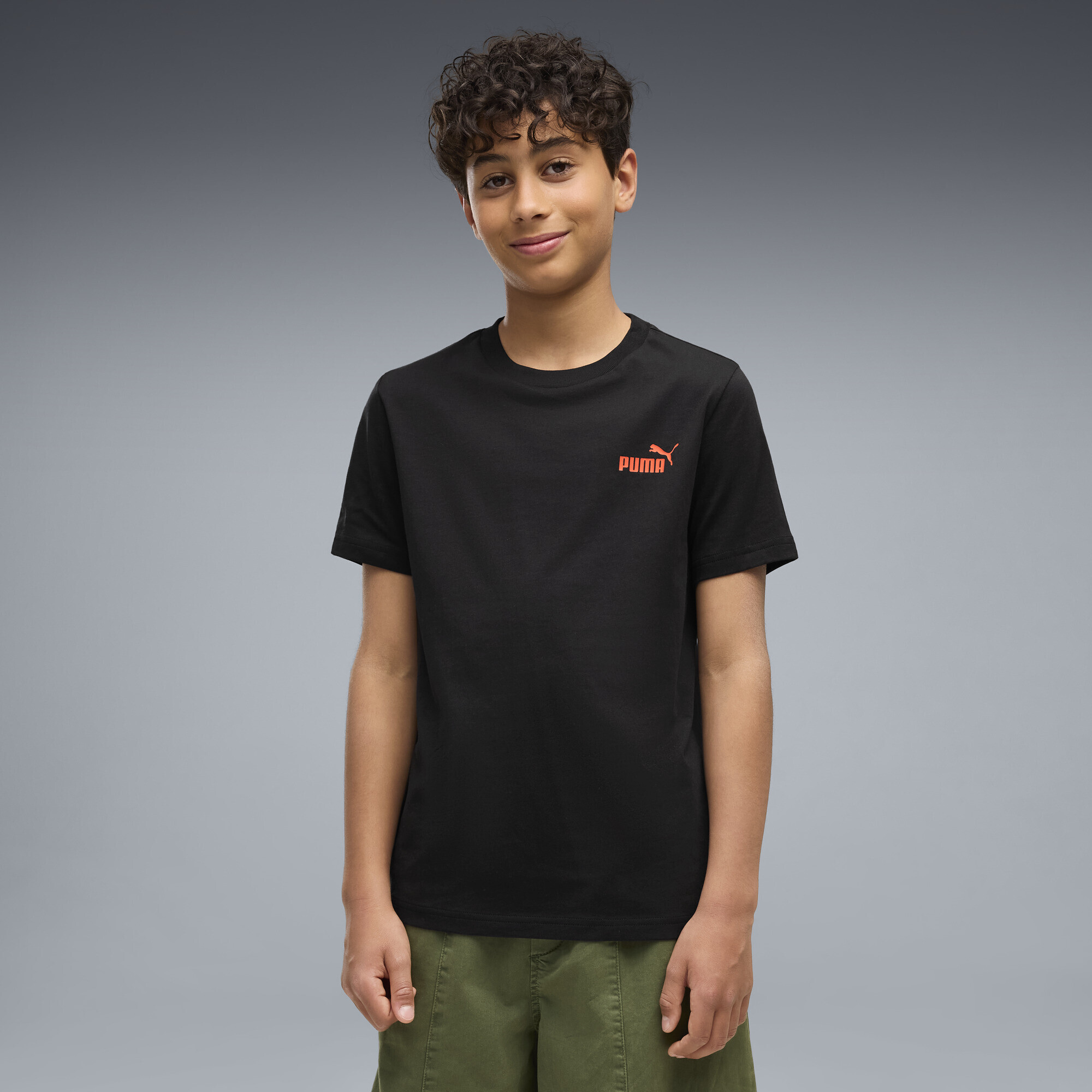 Футболка Puma Essentials Logo Lab Back Graphic (69480801) - фото