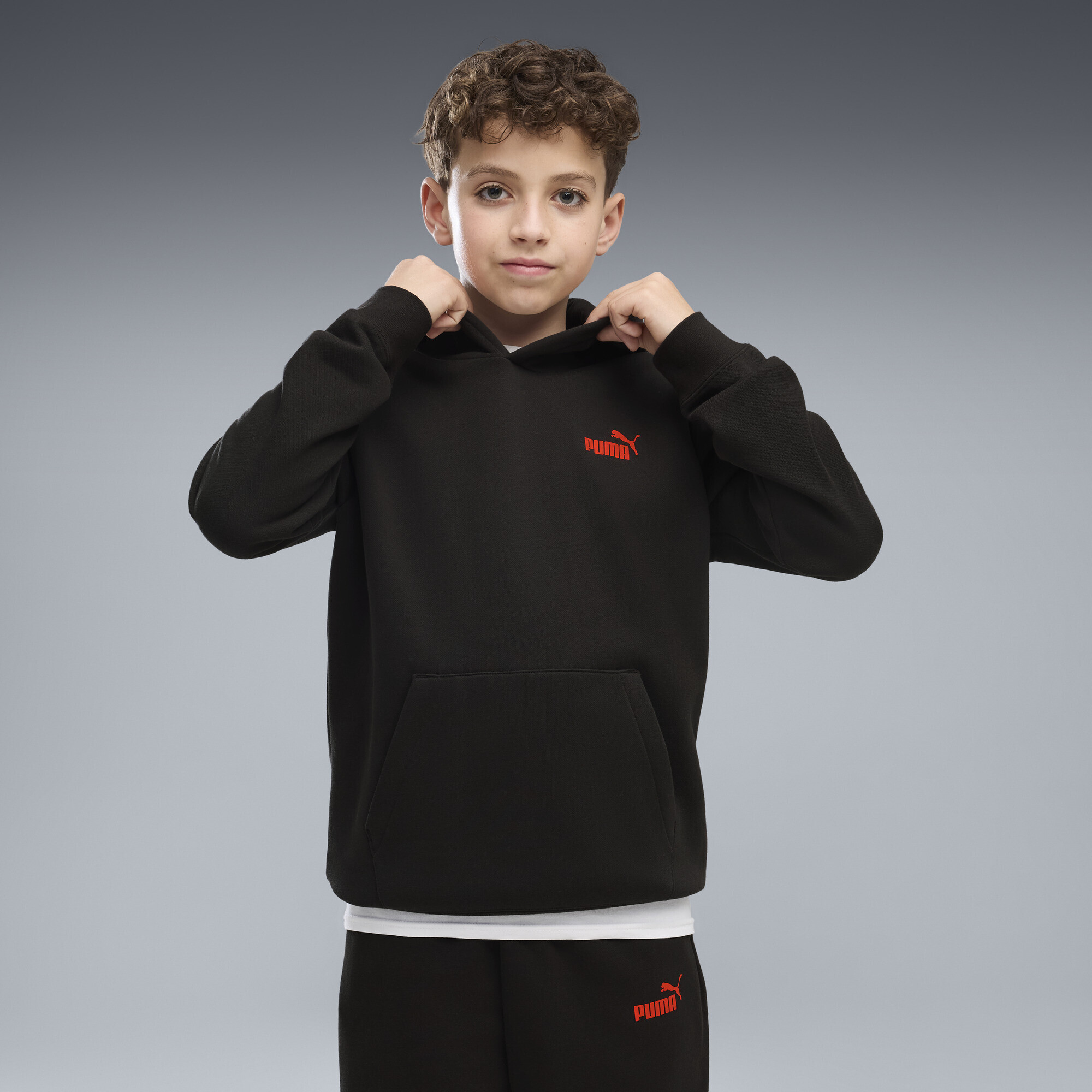 Толстовка Puma Ess Logo Lab Brand Back Graphic Fleece (69481001) - фото
