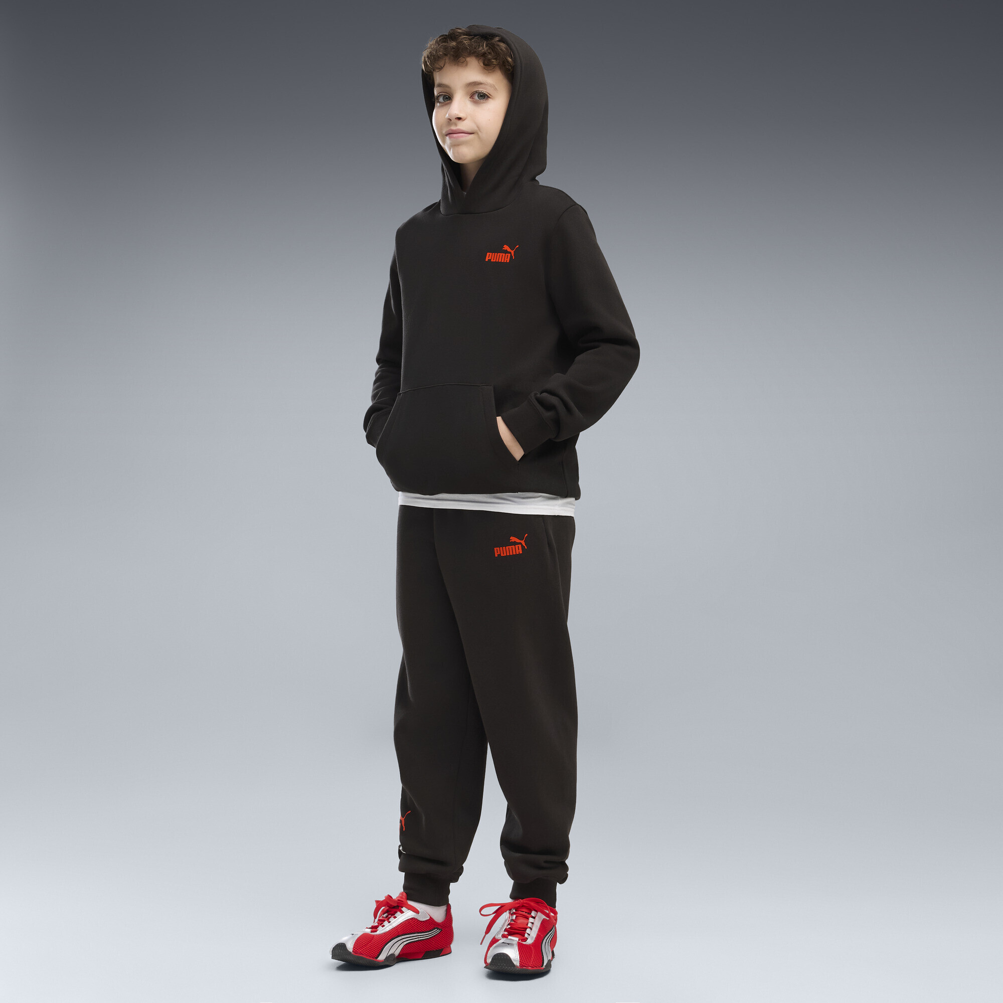 Толстовка Puma Ess Logo Lab Brand Back Graphic Fleece (69481001) - фото