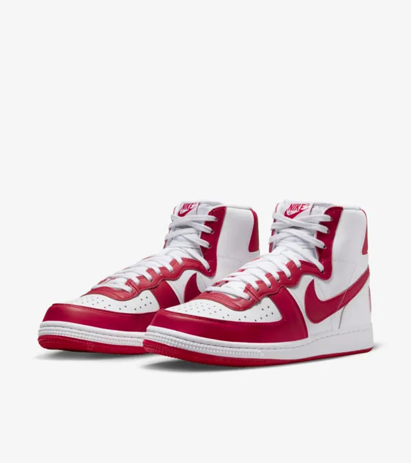 Кеди NIKE Terminator High (FJ4454100) - фото