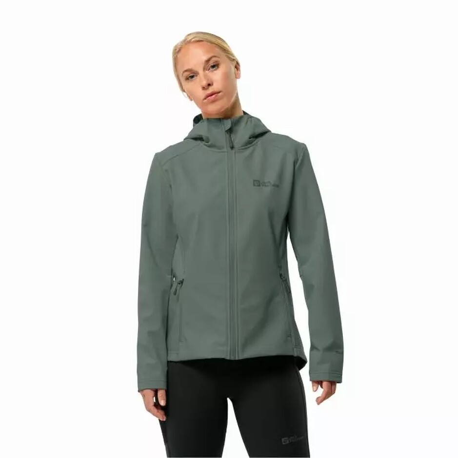 Толстовка Jack Wolfskin Bornberg Hoody W (1307692_4311) - фото