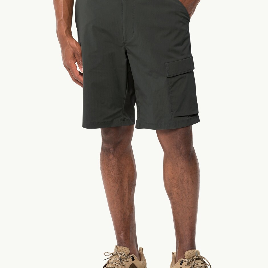 Шорти Jack Wolfskin Wanderthirst Shorts M (1508321_6502) - фото
